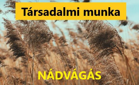 Társadalmi munka 2025.11.29