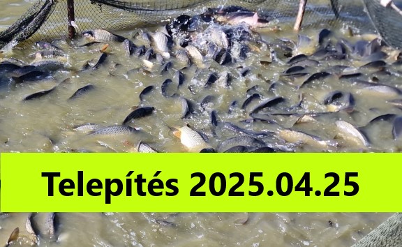 Telepítés 2025.04.25