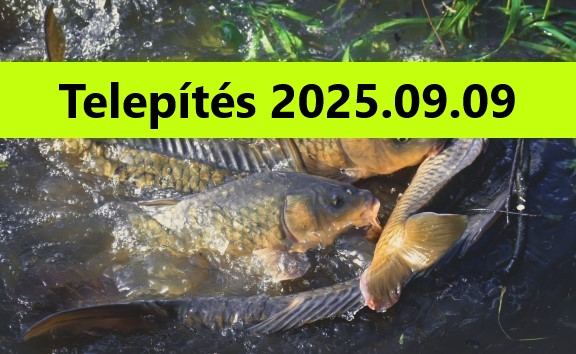 Telepítés 2025.09.09